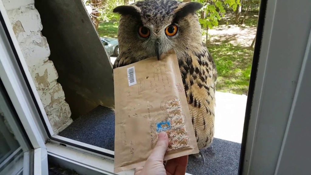 Photo d'un hibou apportant le courrier