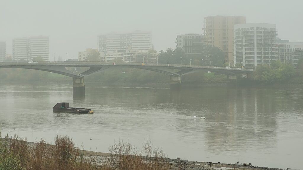 Photo de La Loire le long du boulevard des pas enchantés avec un brouillard très épais qui permet à peine de voir les immeubles de l'île beaulieu ainsi que le pont georges clémenceau.
On y distingue également sur l'eau une belle toue en bois.