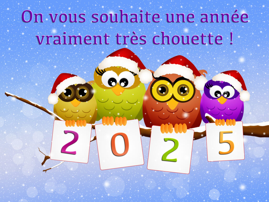 On vous souhaite une année vraiment très chouette !  c'est le message de ce dessin où  quatre petites chouettes sur une branche sont coiffées de bonnets de Père Noël. Chacune tient dans ses pattes une feuille de papier blanche sur lesquelles on peut lire les 4 chiffres de l'année 2025.